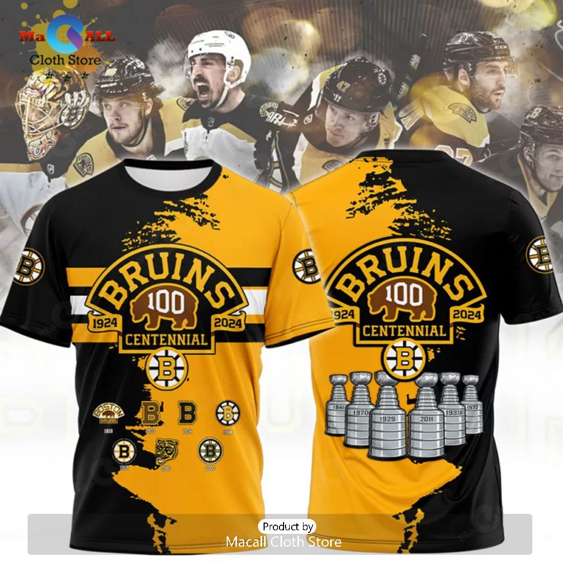 Boston Bruins Celebrating 100 Years Of Boston Bruins Hockey Paint Style Hoodie 3D