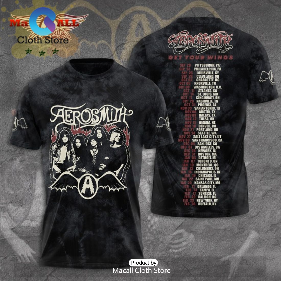 Aerosmith Music Band Special Black Hoodie