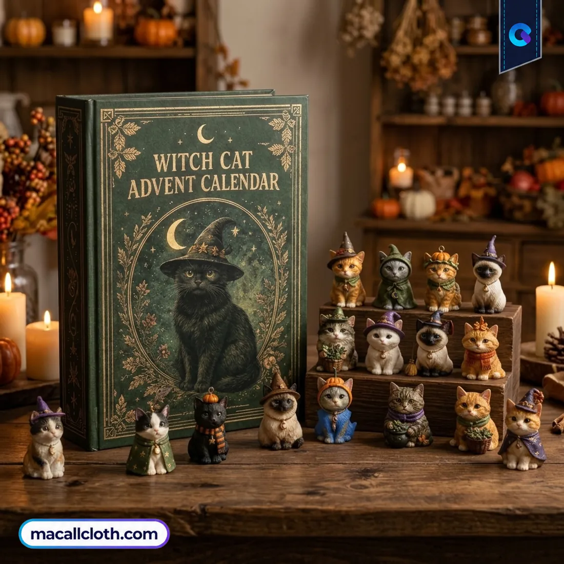 24 Days of Cats Witch Cat Halloween Advent Calendar 24 Days of Cats Witch Cat Halloween Advent Calendar